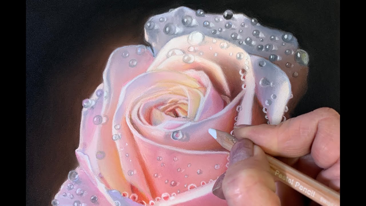 soft pastel painting of a realistic rose by carole rodrigue