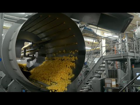 Seasoning Systems for Snackfoods - KMG Systems