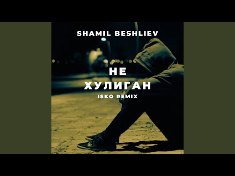Не Хулиган (Isko Remix)