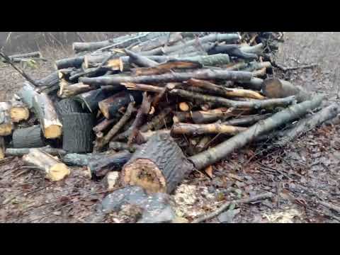 Draństwo leśne.Odc.158.