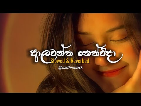 ආලවන්ත නෙත් විදා Aalawantha neth vida - (Slowed + Reverb)