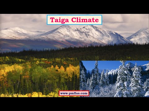 Taiga Climate | Coniferous Forests & Lumbering - PMF IAS