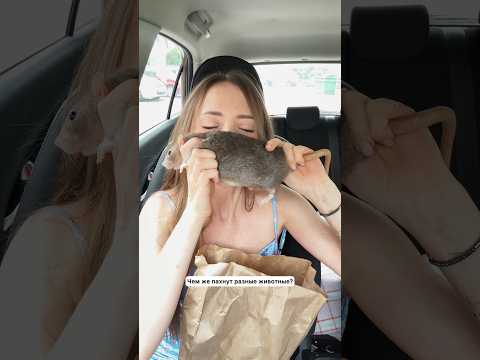 Кого хотите понюхать? :)