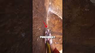 Download lagu Kenapa Pemanjat Tebing Sering Terjatuh! mp3