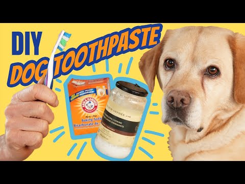 Dog Toothpaste