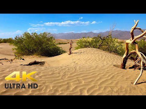 Death Valley National Park 4K | Complete Scenic Drive on California Route 190 East