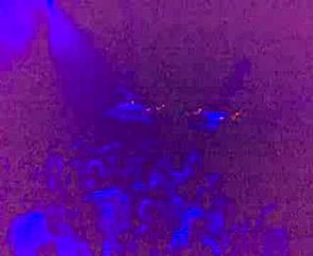 Scratch Perverts @ Fabric