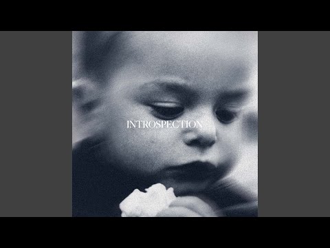 Video thumbnail for INTROSPECTION