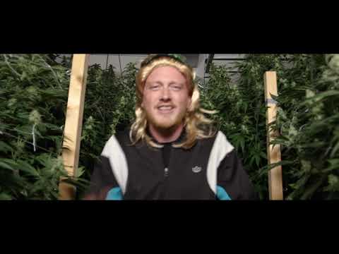 LXcellent vs. Honigkonig -  Hinrunde - Aightgenossen VBT 21