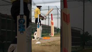KASHMIR WILLOW or ENGLISH WILLOW??🤔#shorts#shortsfeed#shortsviral#shortstrending#cricket#subscribe
