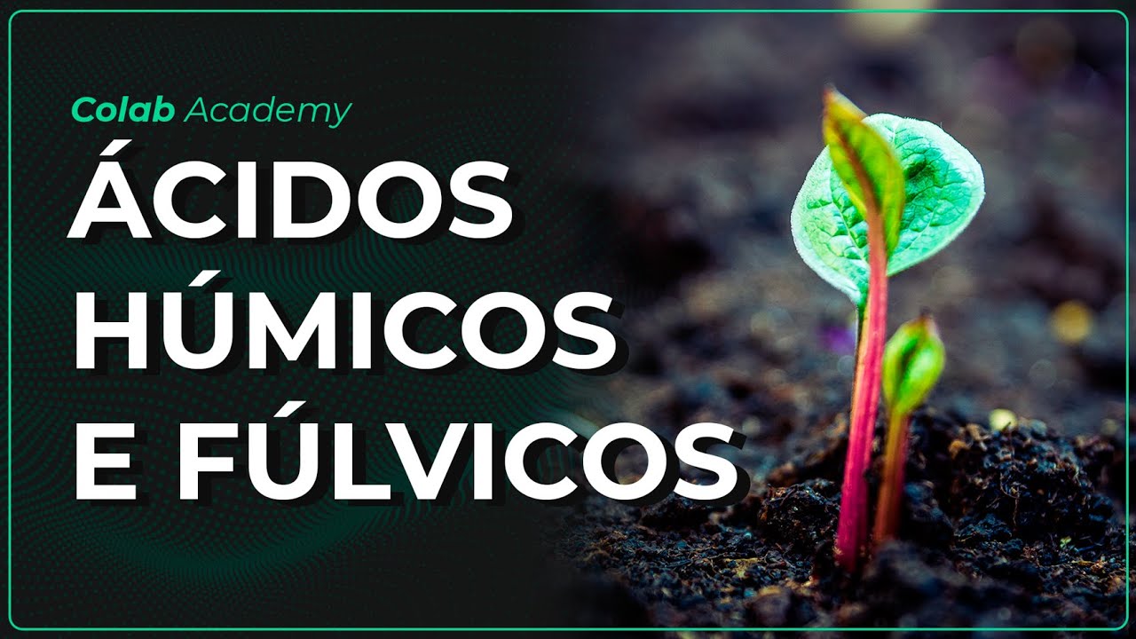 Colab Academy - Ácidos húmicos e fúlvicos