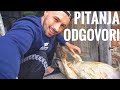 Proteinske čokoladice? Vakum za stomak? Počinjem trenirati vrat? Q&A Vlog