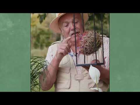 Gartln mit Starkl: Tipp - Zimmerpflanzen richtig pflegen