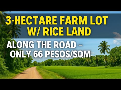 Not available (Vlog#01) 3-Hectare farm lot for sale  Along the road "for only 66 pesos per sqm!!!