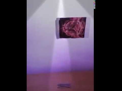 fui partiu o enea é do palestra