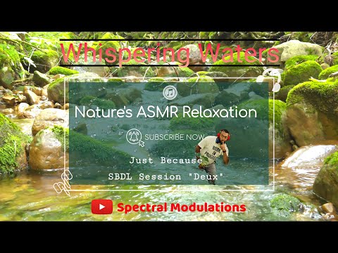 🍃🍂🌿SBDL Session 2 : Whispering Waters | 2 Hours of Forest Stream Ambience for Deep Relaxation🌳🍃🎧