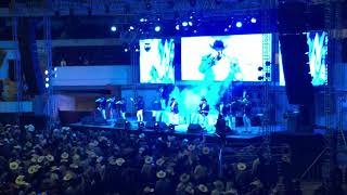 Laberinto - Pilares de cristal, El gato americano