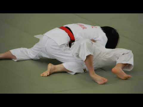 女子柔道の試合の様子（高校総体）