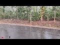 Coorg Raining Fall Video Whatsapp Status Video Scot Land Of India Vasuki Vaibhav Song