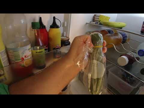 MongoTV_7295 - BAD OG BARBERING SØNDAG