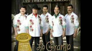 EL DIPUTADO  ALBUM 2009 LA GRANJA LOS TIGRES DEL