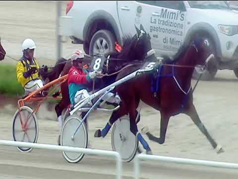 Trotto 01/06/2019 - 3ª corsa