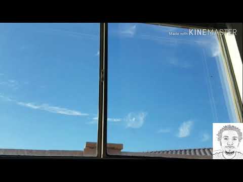 Fly attempting to break window(watch it brace for impact).