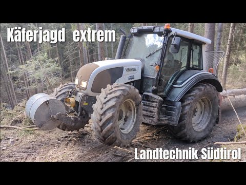 🌲 Forstarbeit 2023 🌲⚠️Käferjagd Extrem ⚠️