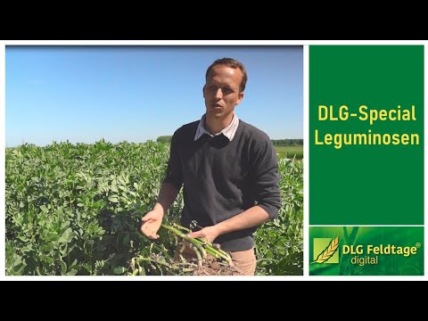 DLG-Special Leguminosen - DLG-Feldtage digital