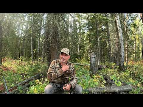 My Night And Some Hair Raising Experiences