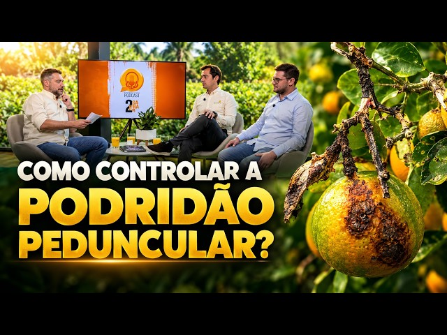 Como controlar a podridão peduncular?
