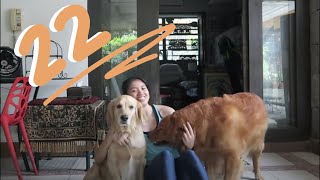 quarantine BIRTHDAY vlog