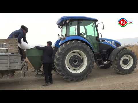 Ailə təsərrüfatları - 03.03.2022