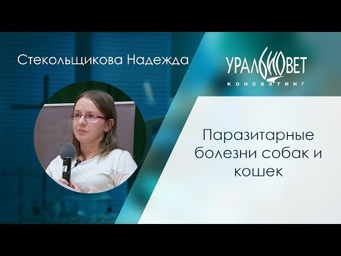 Паразитарные болезни собак и кошек. Стекольщикова Надежда #убвк_дерматология