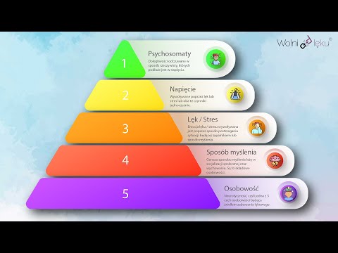 Wieczory z „nerwiczką” Live 15 - Eksperyment Rosenhana, Piramida zależności — Wolniodleku.pl