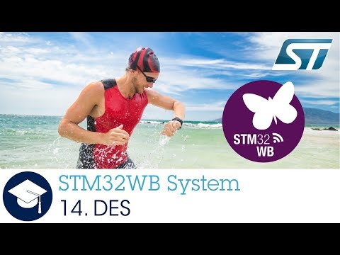 STM32WB OLT - 14. System DeviceElectronicSignature