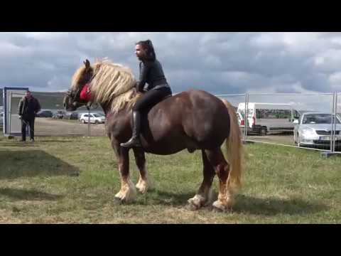 Ceva frumos in Romania !!!