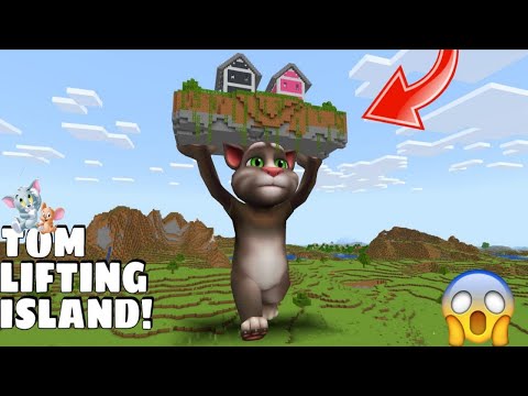 I found TALKING TOM HOLDING FLOATING ISLAND in Minecraft Gameplay - Coffin Meme