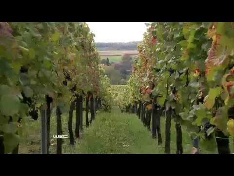 WRC 2012 - Rallye France Alsace Day4