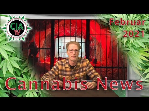 CannaNews Februar 2021 - Thailand, Österreich, Jamaika, USA, Marokko, Norwegen
