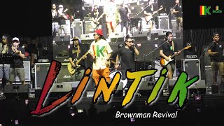 Lintik - Brownman Revival | Kuerdas Reggae Cover