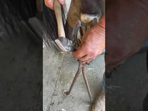 Nailing on a Horseshoe Explained