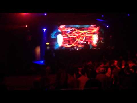 "TAMA SUMO " Paladarq Music Festival