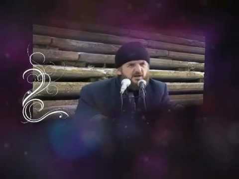 Viti i ri i paganëve - Dr. Shefqet Krasniqi