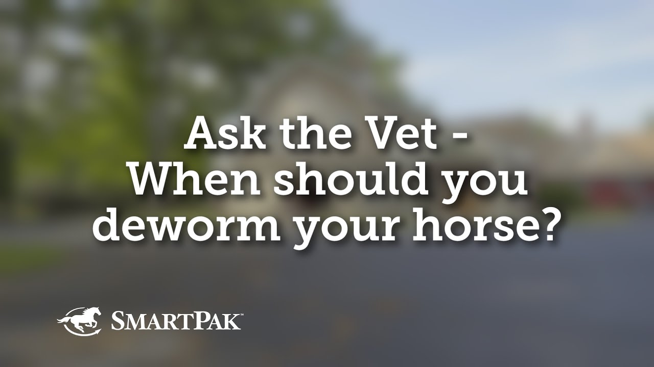 Watch video Ask the Vet - When should you deworm your horse Now Ask the Vet - When should you deworm your horse