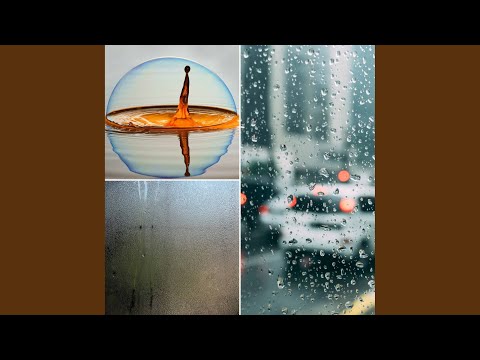 Opulent Ambience for Rainy Day Vibing