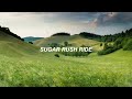 Download Lagu sugar rush ride  txt 투모로우바이투게더 eng lyrics Mp3 Free