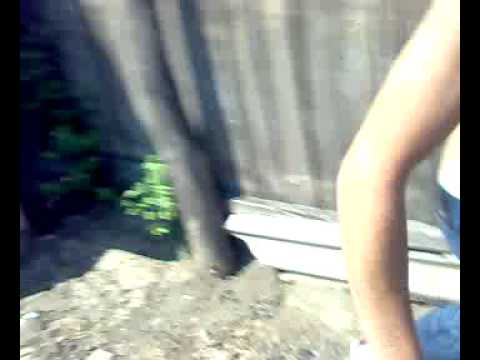 Bursuci;10SS;2010...:))