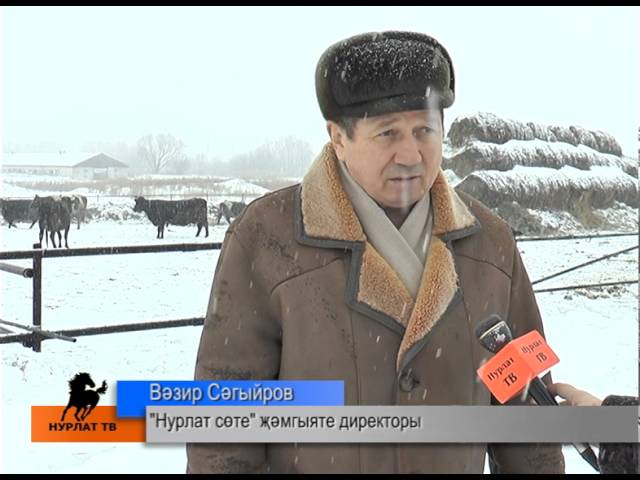 Сөтне күп сава, һөнәрен ярата