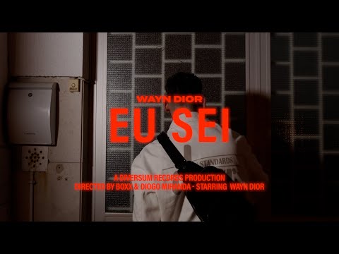 WAYN DIOR - EU SEI